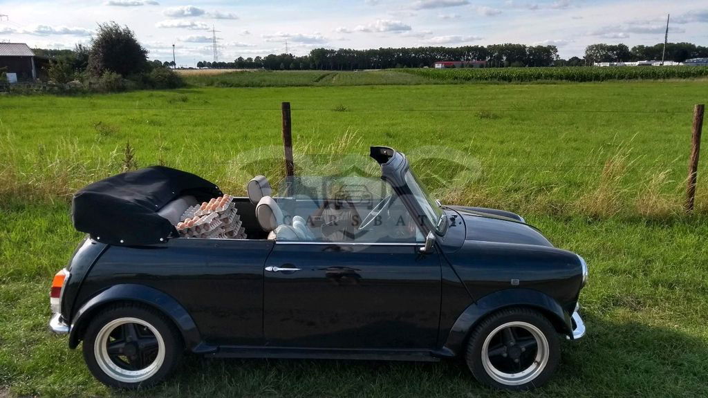Mini Cooper 1993