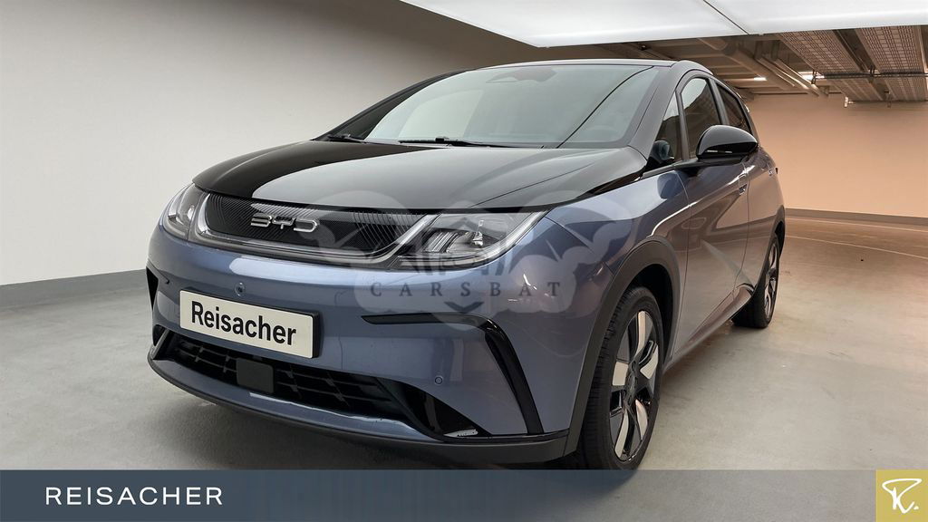 BYD Dolphin 2024