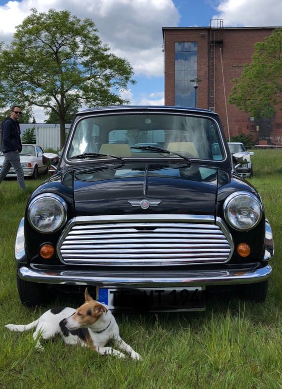 Mini Cooper 1991