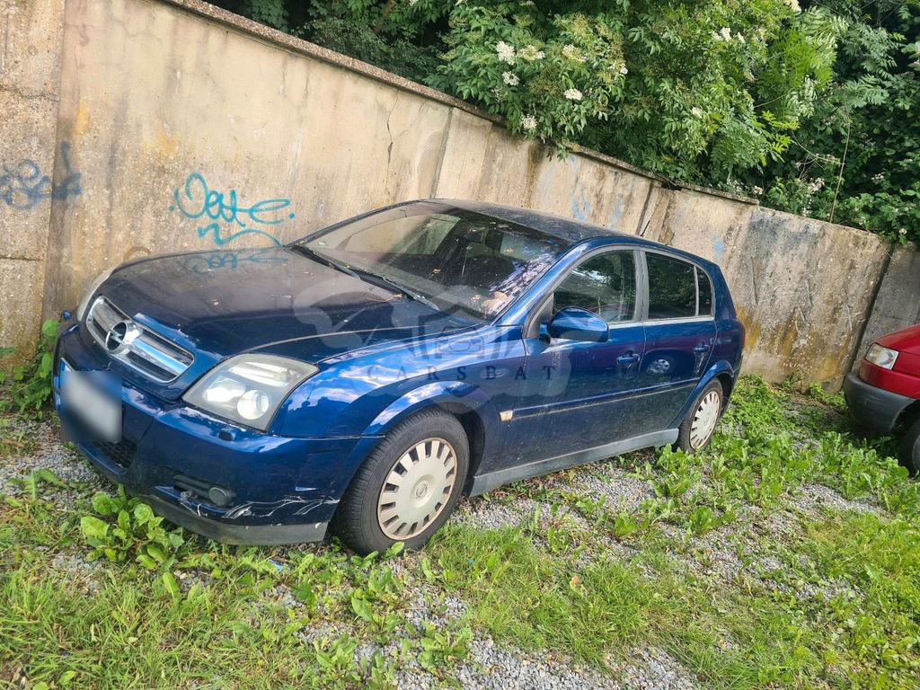 Opel Signum 2024